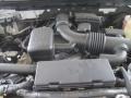 5.4 Liter SOHC 24-Valve VVT Triton V8 2009 Ford F150 XLT SuperCrew 4x4 Engine