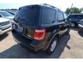 Tuxedo Black Metallic - Escape XLT Photo No. 5