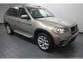 Platinum Bronze Metallic - X5 xDrive 35i Photo No. 8