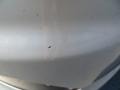 Bright Silver Metallic - Grand Caravan Crew Photo No. 11