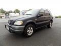 1999 Azure Blue Metallic Mercedes-Benz ML 320 4Matic #81127634