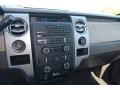 Tan Controls Photo for 2010 Ford F150 #81129981
