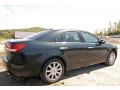 Tuxedo Black Metallic - MKZ FWD Photo No. 10