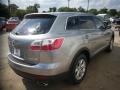 Liquid Silver Meatllic - CX-9 Touring Photo No. 6
