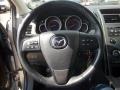 Liquid Silver Meatllic - CX-9 Touring Photo No. 24