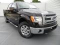 Kodiak Brown Metallic - F150 XLT SuperCrew 4x4 Photo No. 1