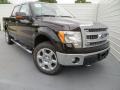 2013 Kodiak Brown Metallic Ford F150 XLT SuperCrew 4x4  photo #1