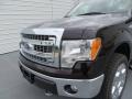 2013 Kodiak Brown Metallic Ford F150 XLT SuperCrew 4x4  photo #10