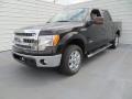 2013 Kodiak Brown Metallic Ford F150 XLT SuperCrew  photo #7