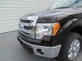 2013 Kodiak Brown Metallic Ford F150 XLT SuperCrew  photo #10