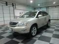 Savannah Beige Metallic - RX 350 Photo No. 3