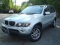 Titanium Silver Metallic - X5 3.0i Photo No. 1