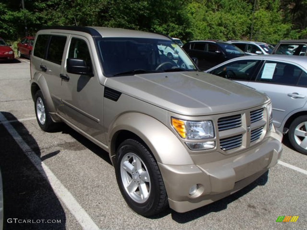 2010 Nitro SXT 4x4 - Light Sandstone Metallic / Dark Slate Gray/Light Slate Gray photo #1