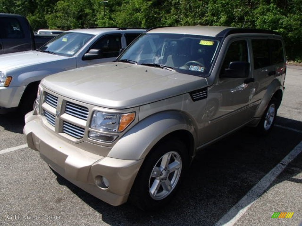 2010 Nitro SXT 4x4 - Light Sandstone Metallic / Dark Slate Gray/Light Slate Gray photo #3