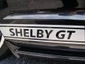 Shelby GT graphics