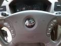 2008 Kia Amanti Beige Interior Steering Wheel Photo