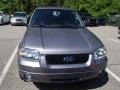 2007 Tungsten Grey Metallic Ford Escape Limited 4WD  photo #2