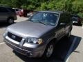 2007 Tungsten Grey Metallic Ford Escape Limited 4WD  photo #3