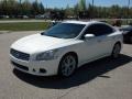 Winter Frost White - Maxima 3.5 SV Sport Photo No. 4