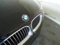 Black Sapphire Metallic - 5 Series 550i Sedan Photo No. 24