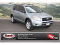 Everglade Metallic 2008 Toyota RAV4 4WD