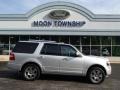 Ingot Silver Metallic 2010 Ford Expedition Limited 4x4