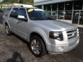 2010 Ingot Silver Metallic Ford Expedition Limited 4x4  photo #2