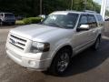 2010 Ingot Silver Metallic Ford Expedition Limited 4x4  photo #4
