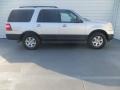 Ingot Silver Metallic - Expedition XLT Photo No. 3