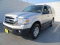 Ingot Silver Metallic - Expedition XLT Photo No. 7