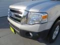 Ingot Silver Metallic - Expedition XLT Photo No. 10