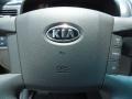 2009 Titanium Silver Kia Borrego LX V6  photo #23