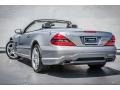 2011 Palladium Silver Metallic Mercedes-Benz SL 550 Roadster  photo #10