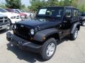 Black - Wrangler Sport 4x4 Photo No. 2