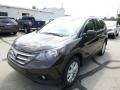 Kona Coffee Metallic - CR-V EX-L AWD Photo No. 7