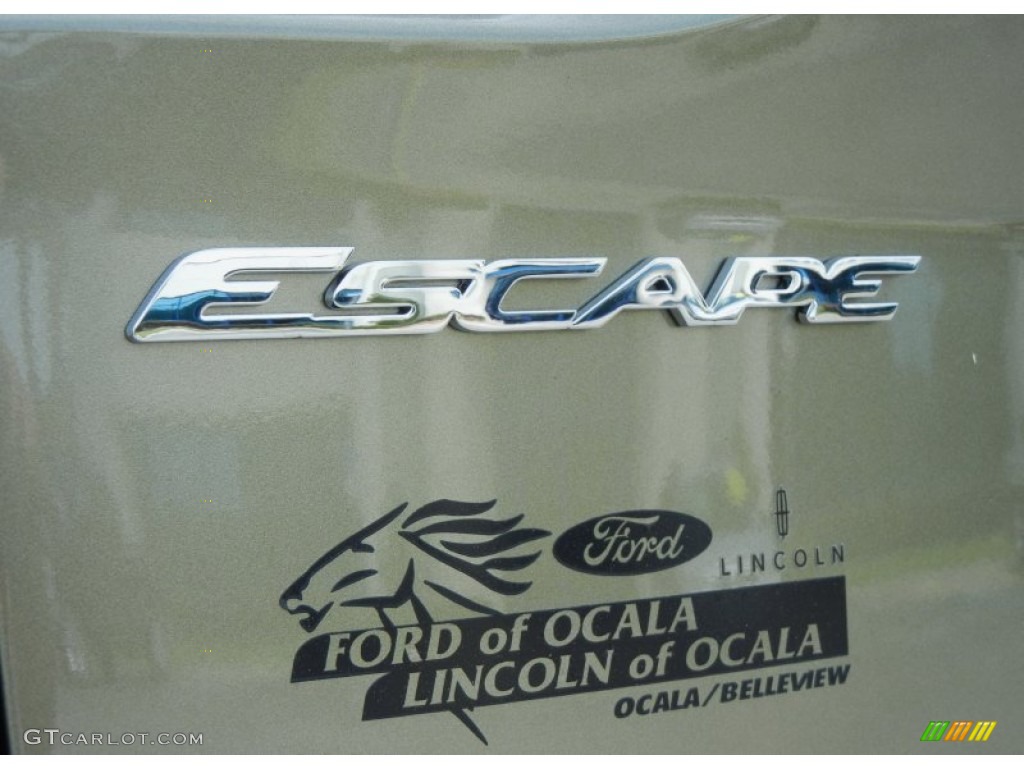 2013 Escape SE 2.0L EcoBoost - Ginger Ale Metallic / Charcoal Black photo #4