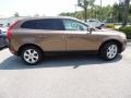 Terra Bronze Metallic - XC60 3.2 Photo No. 13