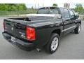 Brilliant Black Crystal Pearl - Dakota Big Horn Crew Cab Photo No. 4