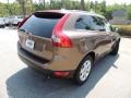 Terra Bronze Metallic - XC60 3.2 Photo No. 14