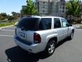 2009 Silver Ice Metallic Chevrolet TrailBlazer LT  photo #6