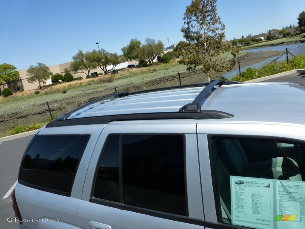 2009 TrailBlazer LT - Silver Ice Metallic / Gray photo #9