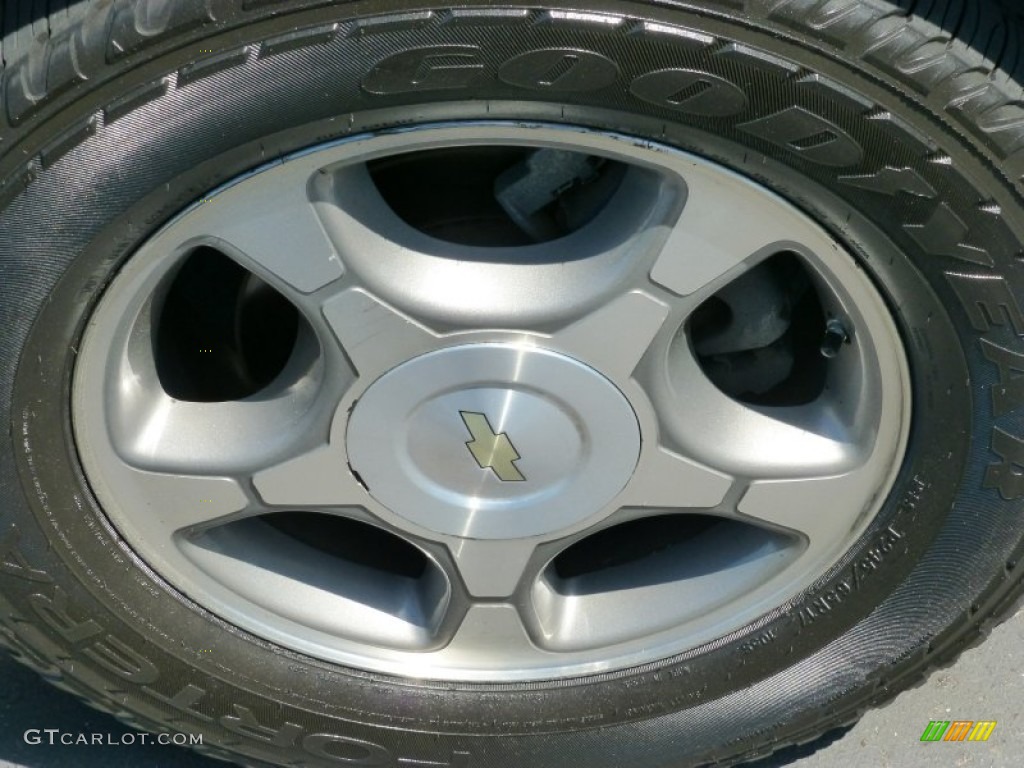 2009 TrailBlazer LT - Silver Ice Metallic / Gray photo #10
