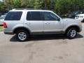 2002 Silver Birch Metallic Ford Explorer XLT 4x4  photo #14