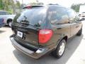 Brilliant Black Crystal Pearl - Grand Caravan SXT Photo No. 13
