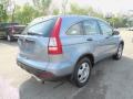 2009 Glacier Blue Metallic Honda CR-V LX 4WD  photo #6