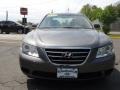 Willow Gray - Sonata GLS Photo No. 2