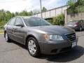 Willow Gray - Sonata GLS Photo No. 3