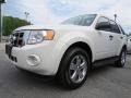 White Suede 2010 Ford Escape XLT V6 Exterior