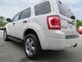 2010 White Suede Ford Escape XLT V6  photo #5