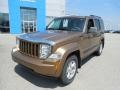 Canyon Brown Pearl 2012 Jeep Liberty Gallery